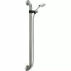 Delta Adjustable Grab Bar Hand Shower - Stainless Steel