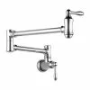 Delta Wall-Mount Pot Filer Faucet - Chrome